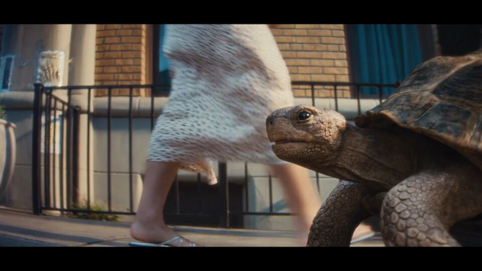 Häagen-Dazs Takes Its 'Sweet Time' With a Cute Tortoise | Muse by
