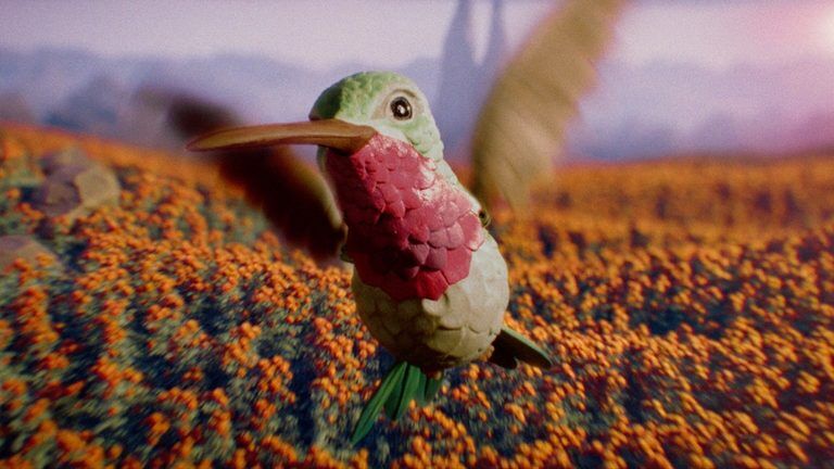 Cerveza Victoria Created a Touching Tribute, With Hummingbirds, for ...